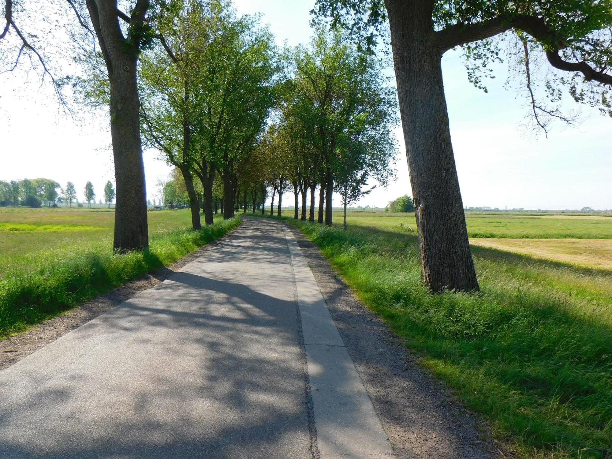 Apartmán Deel Erf Het 8Ste Werk Kampen Exteriér fotografie